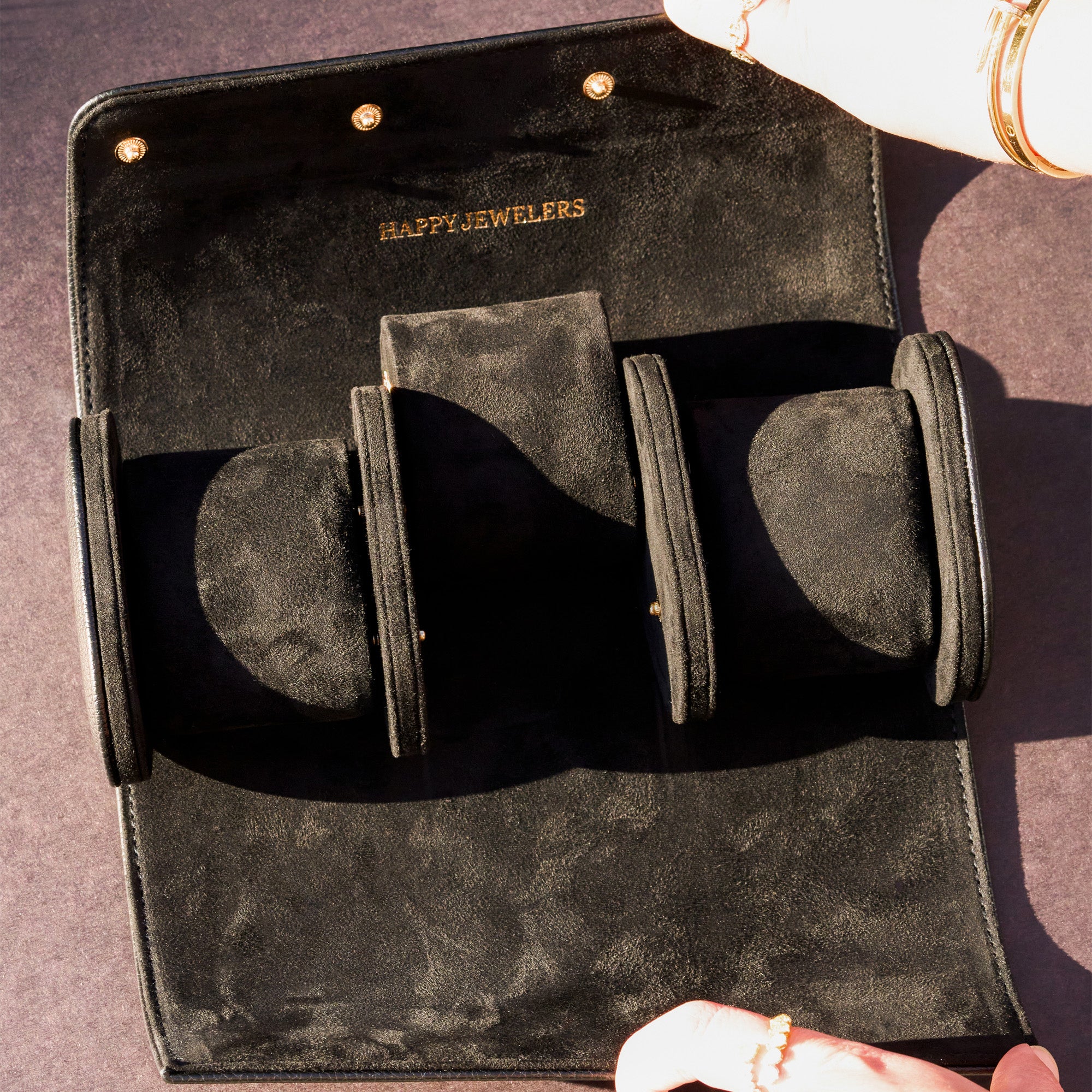 Watch Travel Case