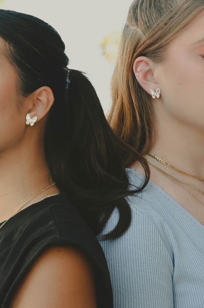 Butterfly Collection