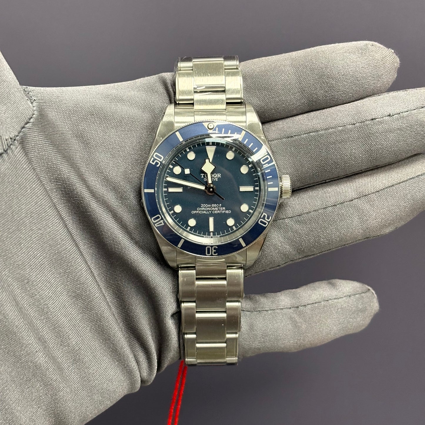 Tudor Black Bay 39mm Blue Dial Watch Ref# 79030B