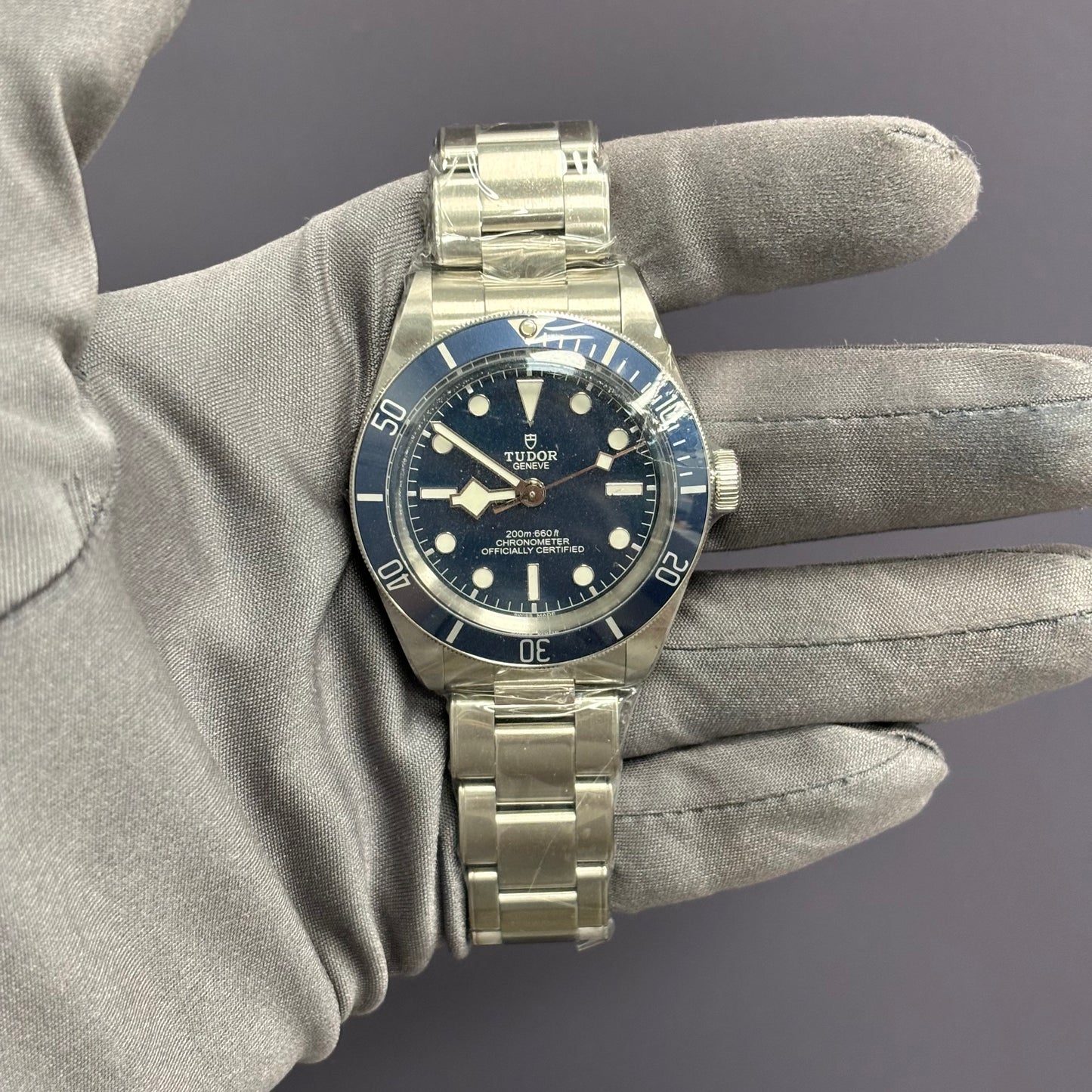 Tudor Black Bay 39mm Blue Dial Watch Ref# 79030B