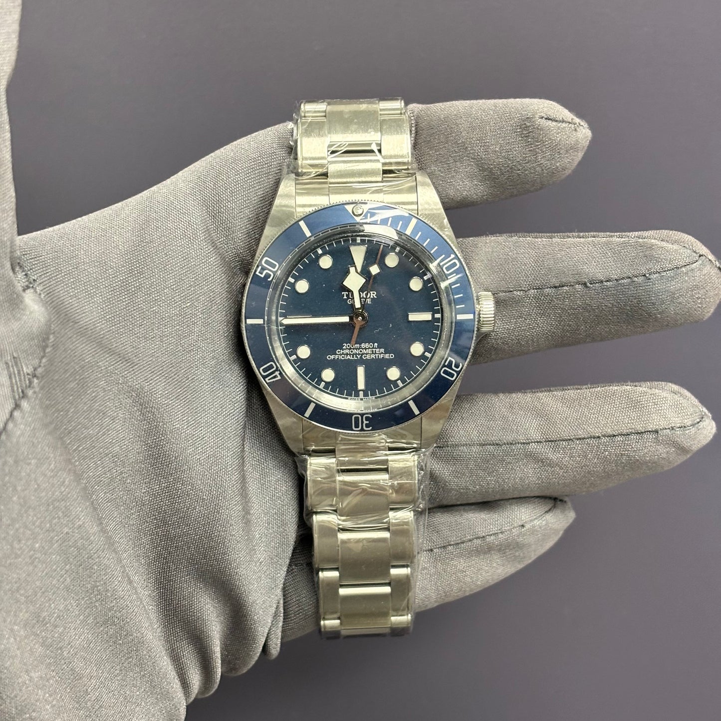 Tudor Black Bay 39mm Blue Dial Watch Ref# 79030B