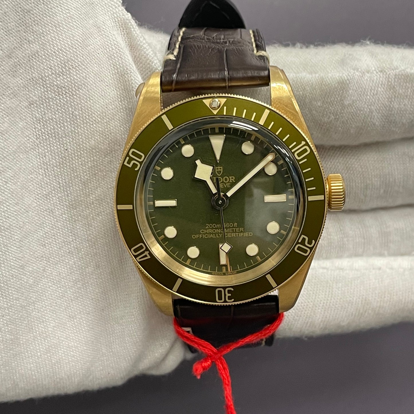 Tudor Black Bay 39mm Green Dot Dial Watch Ref# 79018V