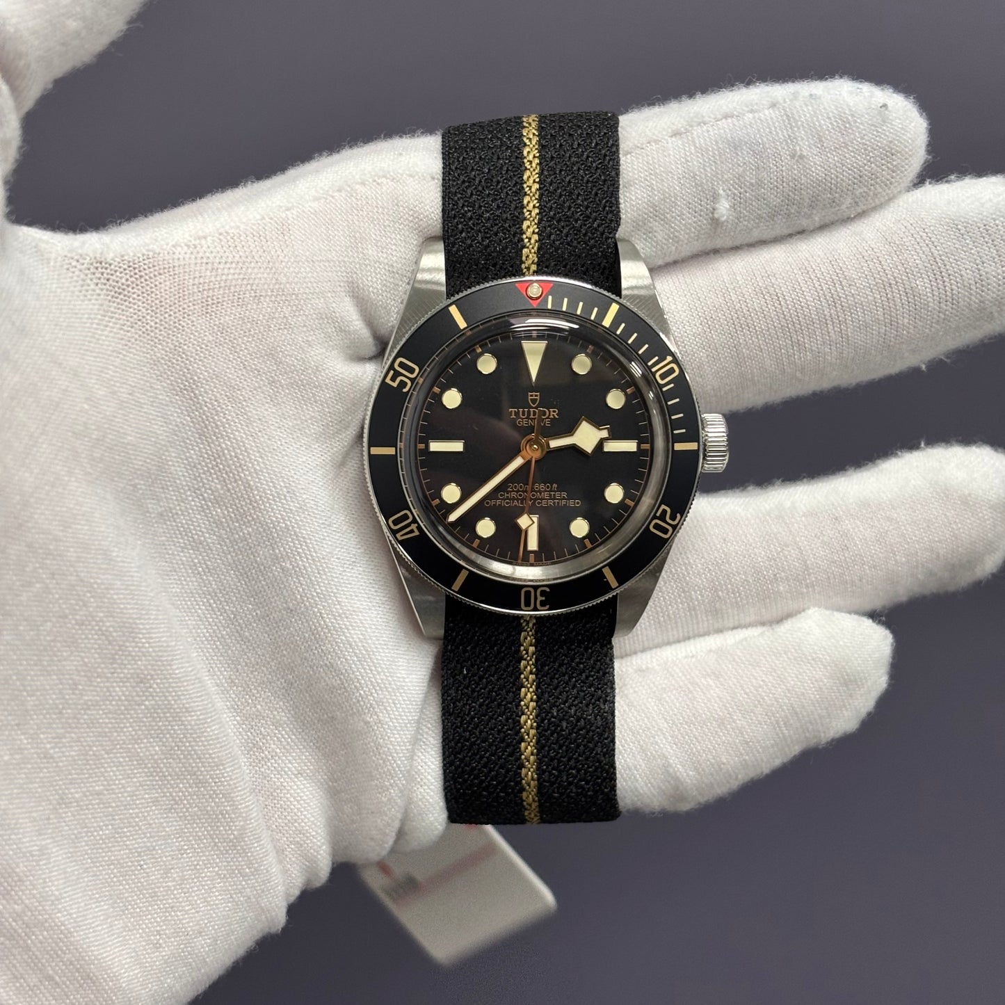 Tudor Black Bay 39mm Black Dial Watch Ref# 79030N