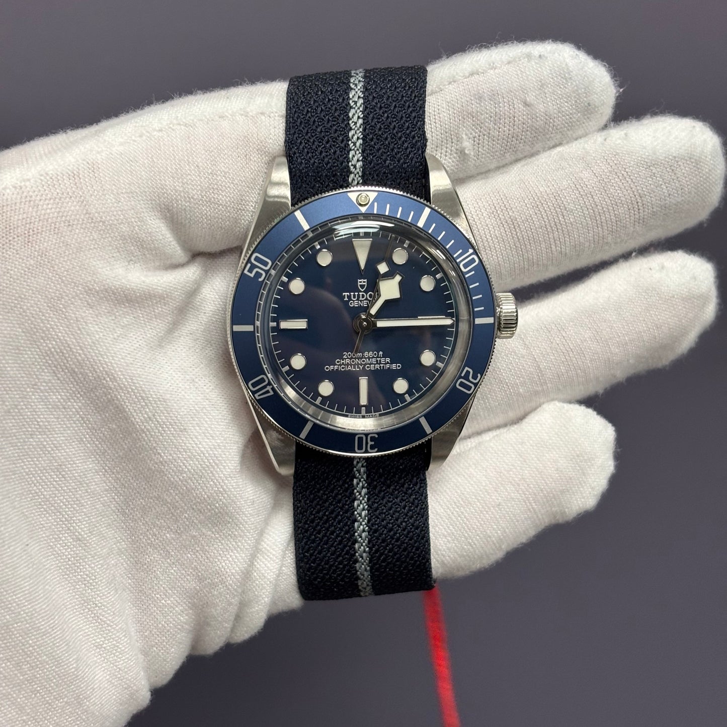 Tudor Black Bay 39mm Blue Dial Watch Ref# 79030B