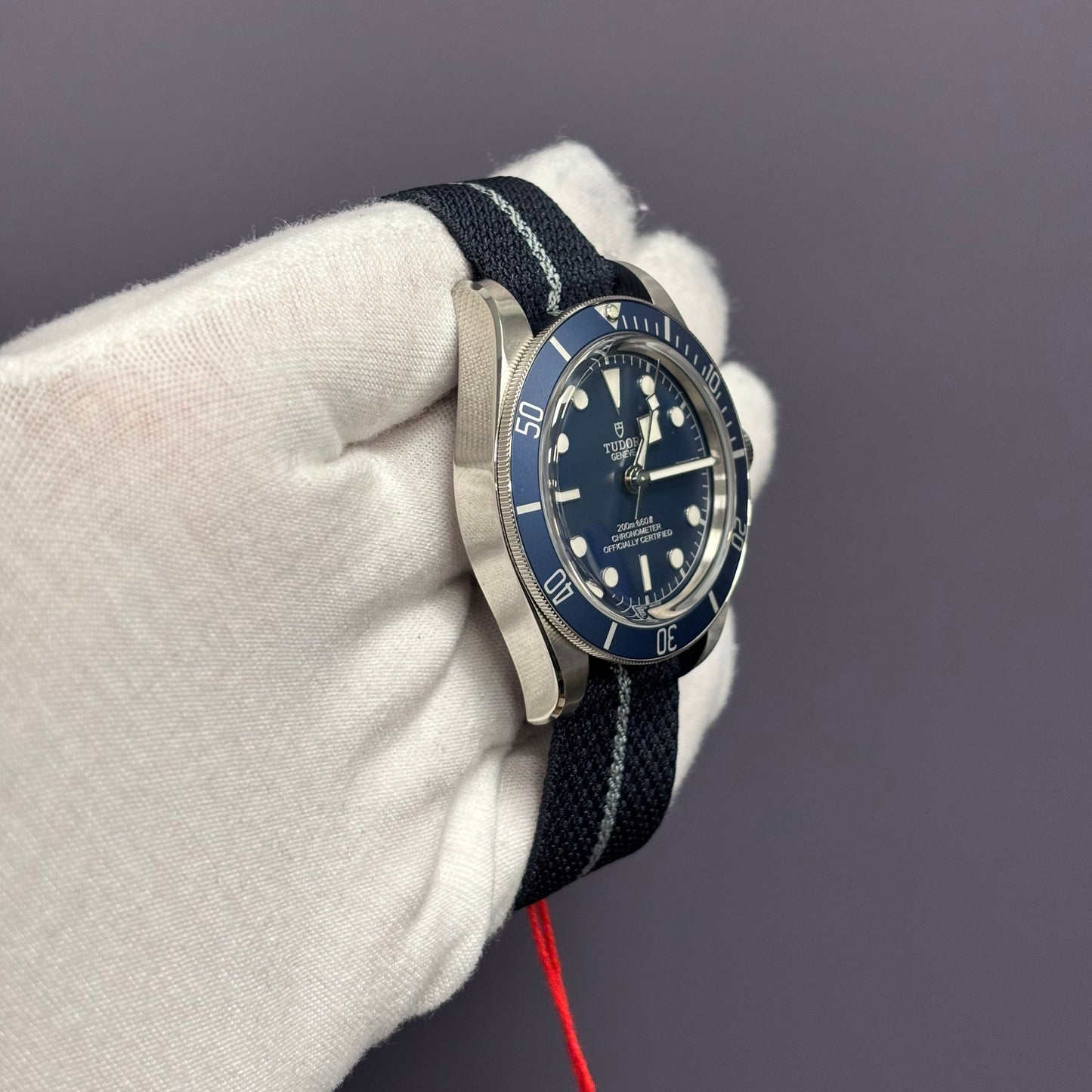 Tudor Black Bay 39mm Blue Dial Watch Ref# 79030B