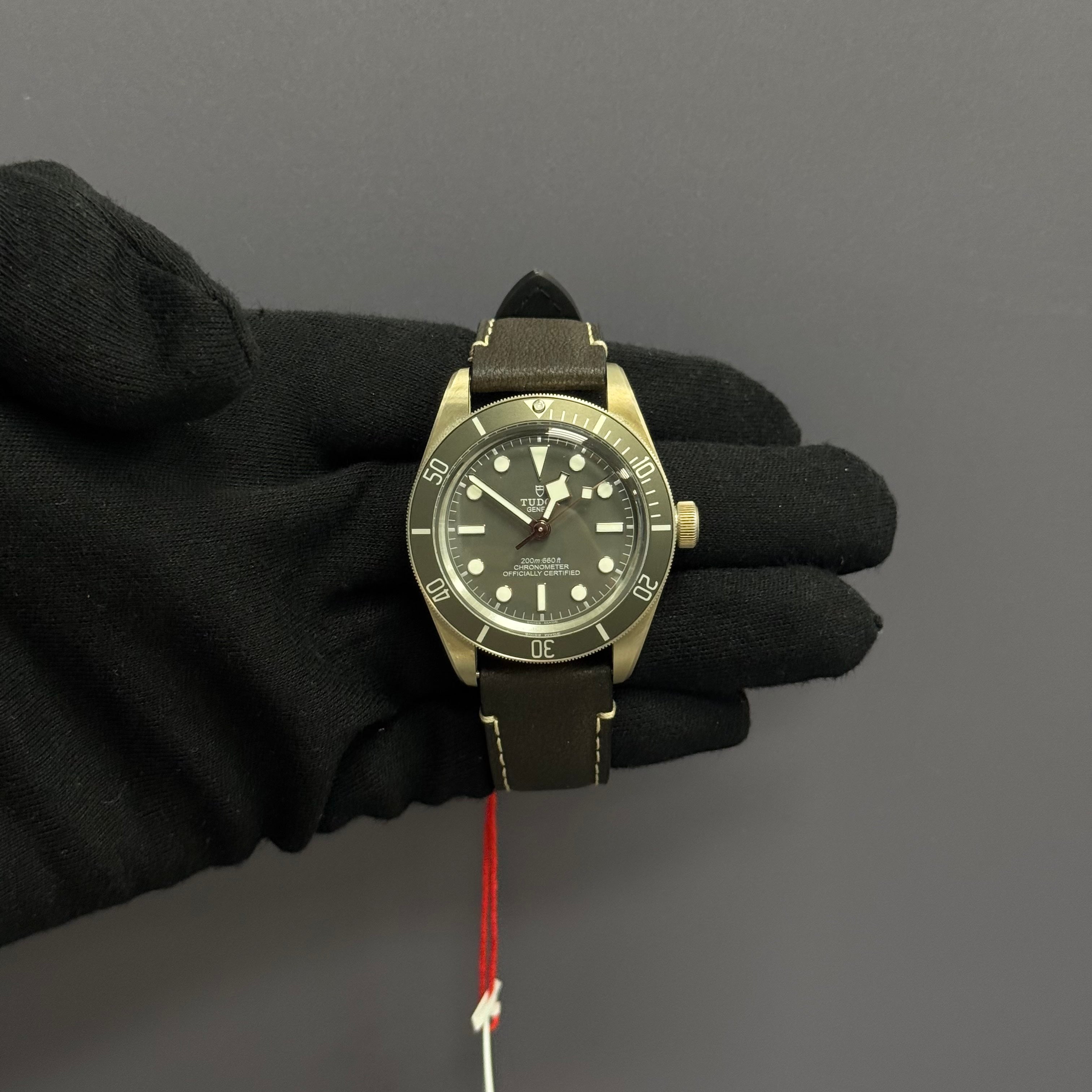 Tudor Black-Bay 39mm Grey Dial Watch Ref# 79010SG - Happy Jewelers Fine Jewelry Lifetime Warranty