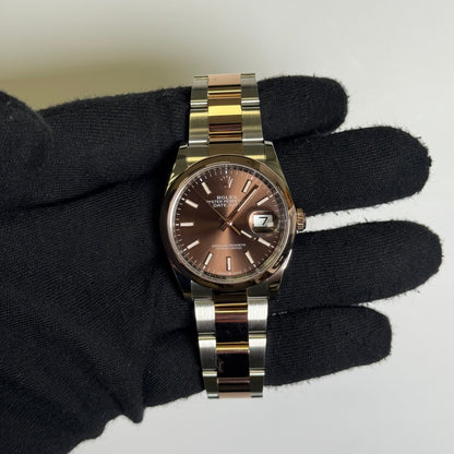 Rolex Datejust 36mm Chocolate Dial Watch Ref# 126201 - Happy Jewelers Fine Jewelry Lifetime Warranty