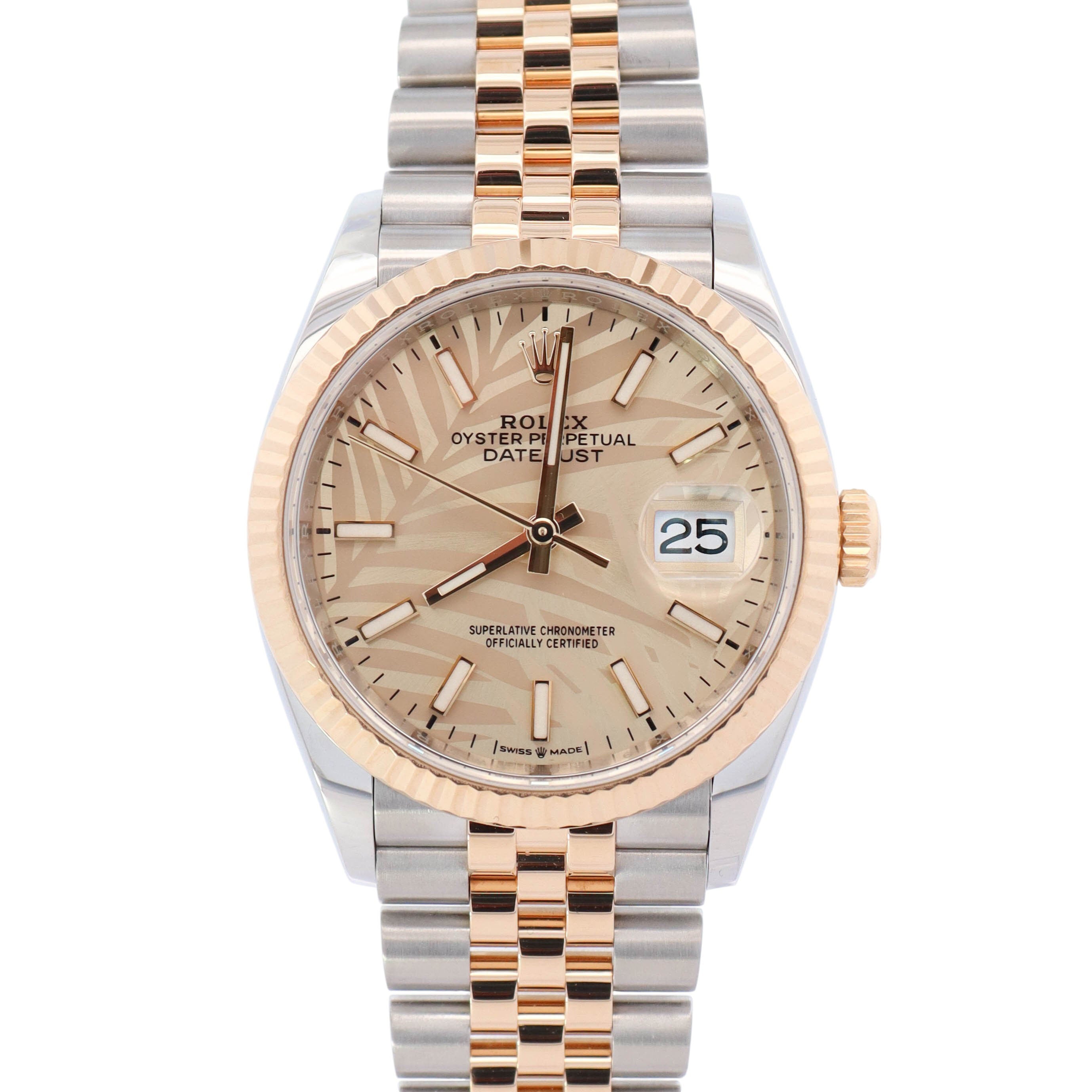 Rolex Datejust 36mm Champagne Dial Watch Ref# 126233 - Happy Jewelers Fine Jewelry Lifetime Warranty