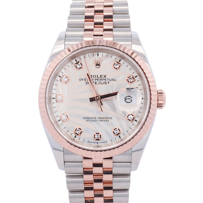 Rolex Datejust 36mm Palm Dial Watch Ref# 126231 - Happy Jewelers Fine Jewelry Lifetime Warranty