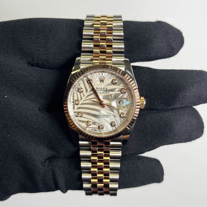 Rolex Datejust 36mm Palm Dial Watch Ref# 126231 - Happy Jewelers Fine Jewelry Lifetime Warranty