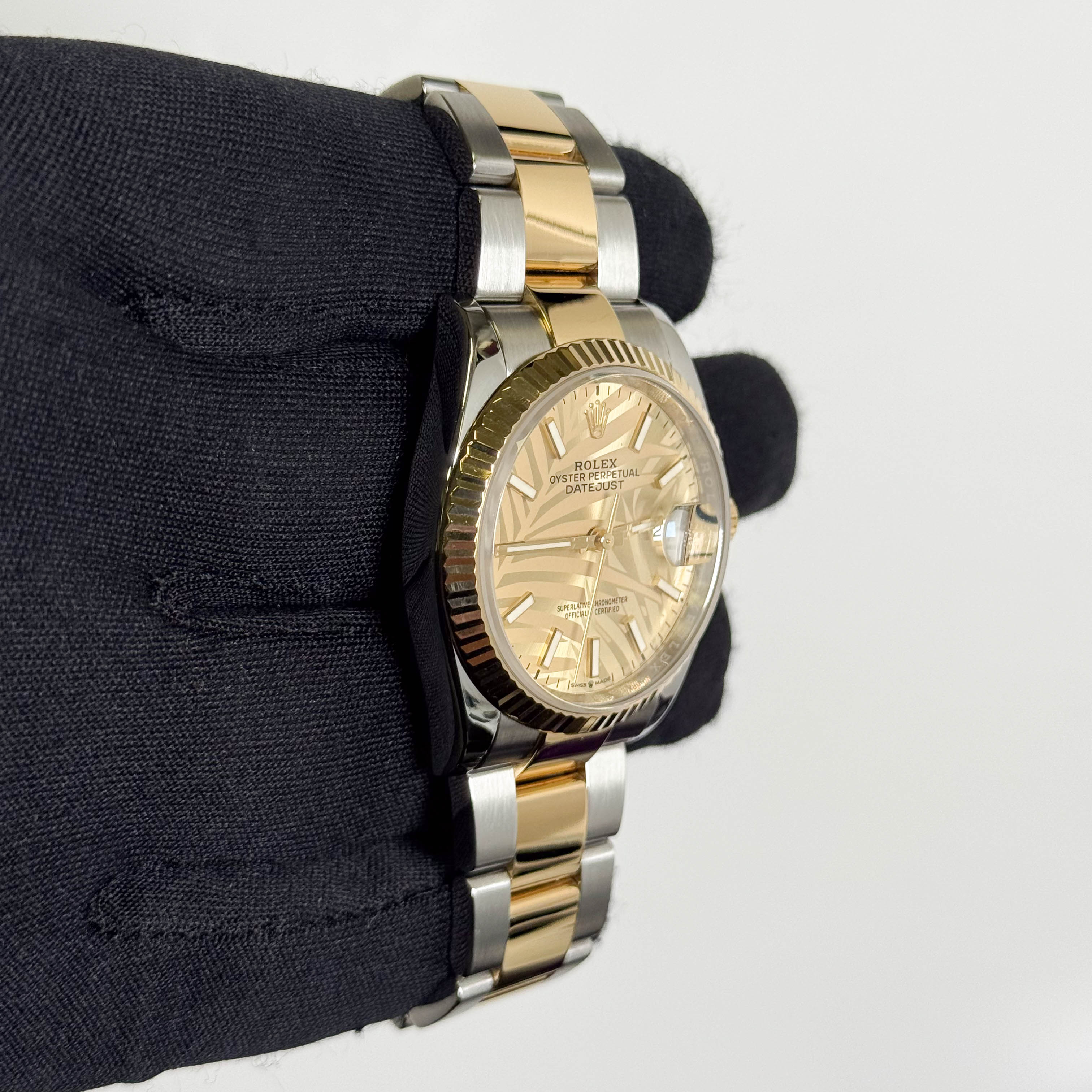 Rolex Datejust 36mm Champagne Palm Motif Dial Watch Ref# 126233 - Happy Jewelers Fine Jewelry Lifetime Warranty