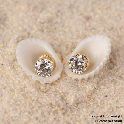 Lab Created Classic Diamond Stud Earrings - Happy Jewelers Fine Jewelry Lifetime Warranty