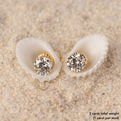 Lab Created Classic Diamond Stud Earrings - Happy Jewelers Fine Jewelry Lifetime Warranty